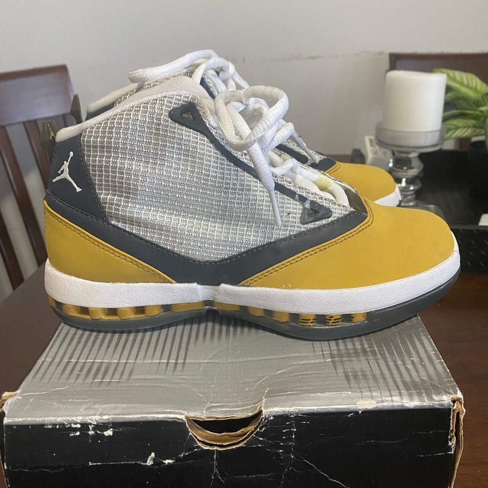 Air Jordan Ginger 16
